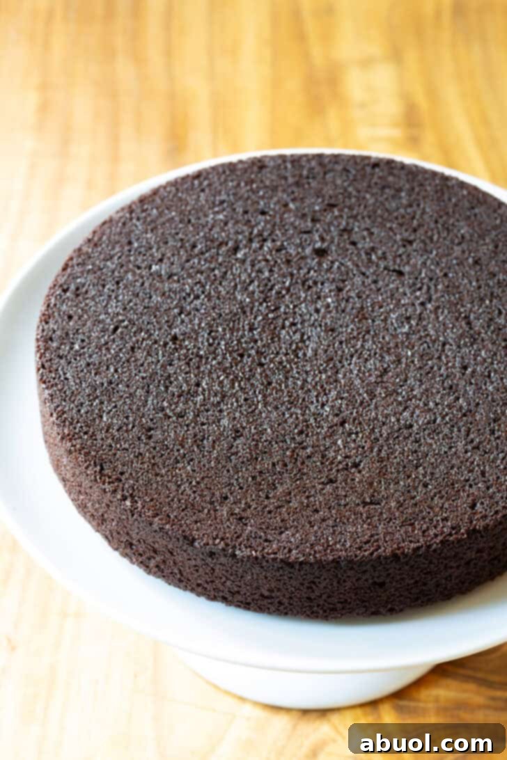 Homemade Ice Cream Cake Bliss 7 Round chocolate cake base.