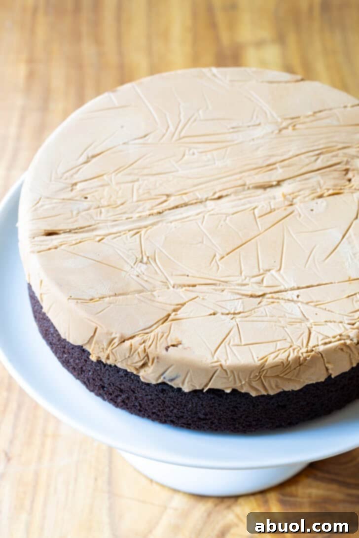 Homemade Ice Cream Cake Bliss 8 Disc of caramel ice cream layered on top of round chocolate cake base.