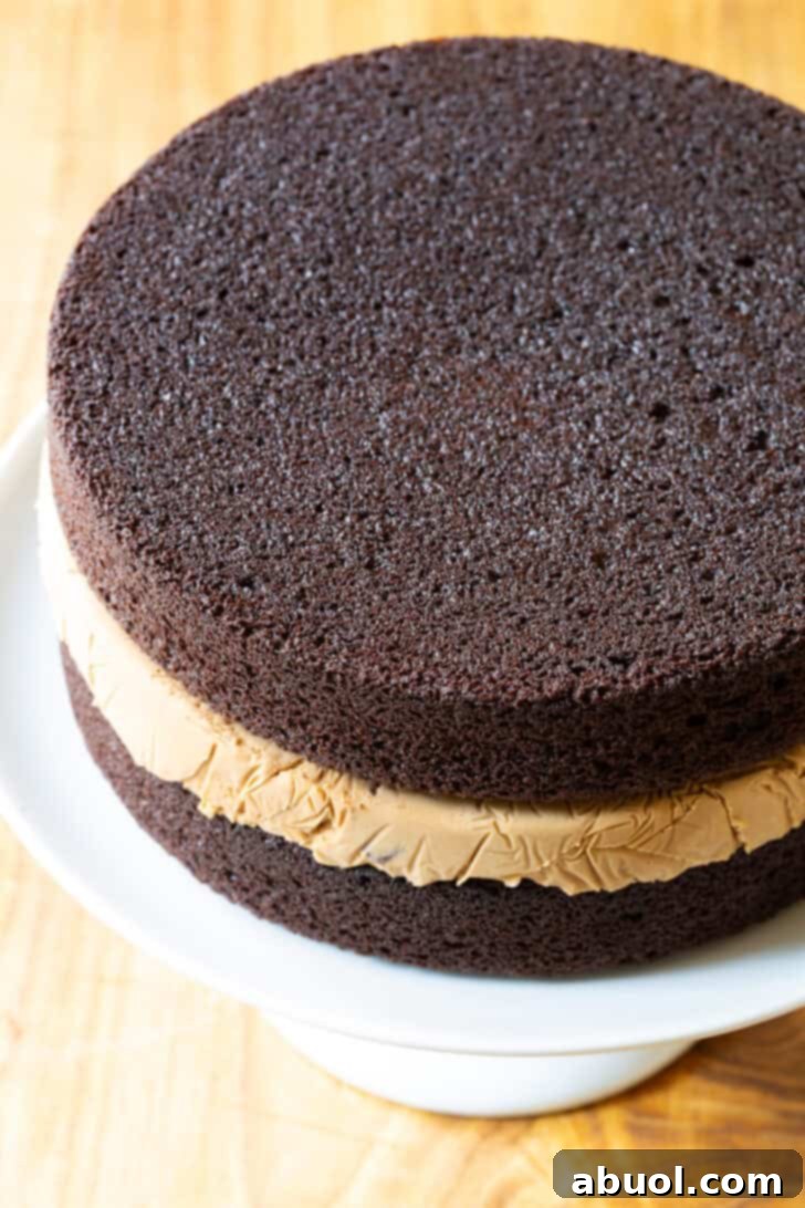 Homemade Ice Cream Cake Bliss 9 Chocolate and caramel ice cream layered cream cake.