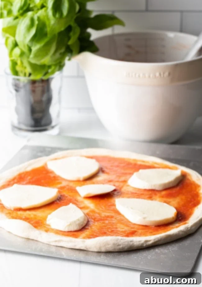 Crafting Perfect Neapolitan Pizza Dough 14 Large circle slices of mozzarella cheese on unbaked pizza.