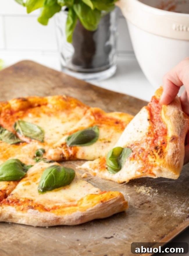 Crafting Perfect Neapolitan Pizza Dough 19 Hand taking a slice of baked Neapolitan pizza with fresh basil leaves.