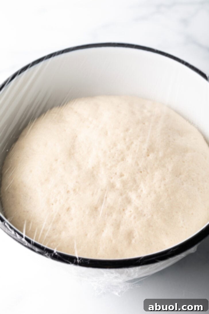 Crafting Perfect Neapolitan Pizza Dough 7 White bowl with a circle of dough covered with plastic wrap.