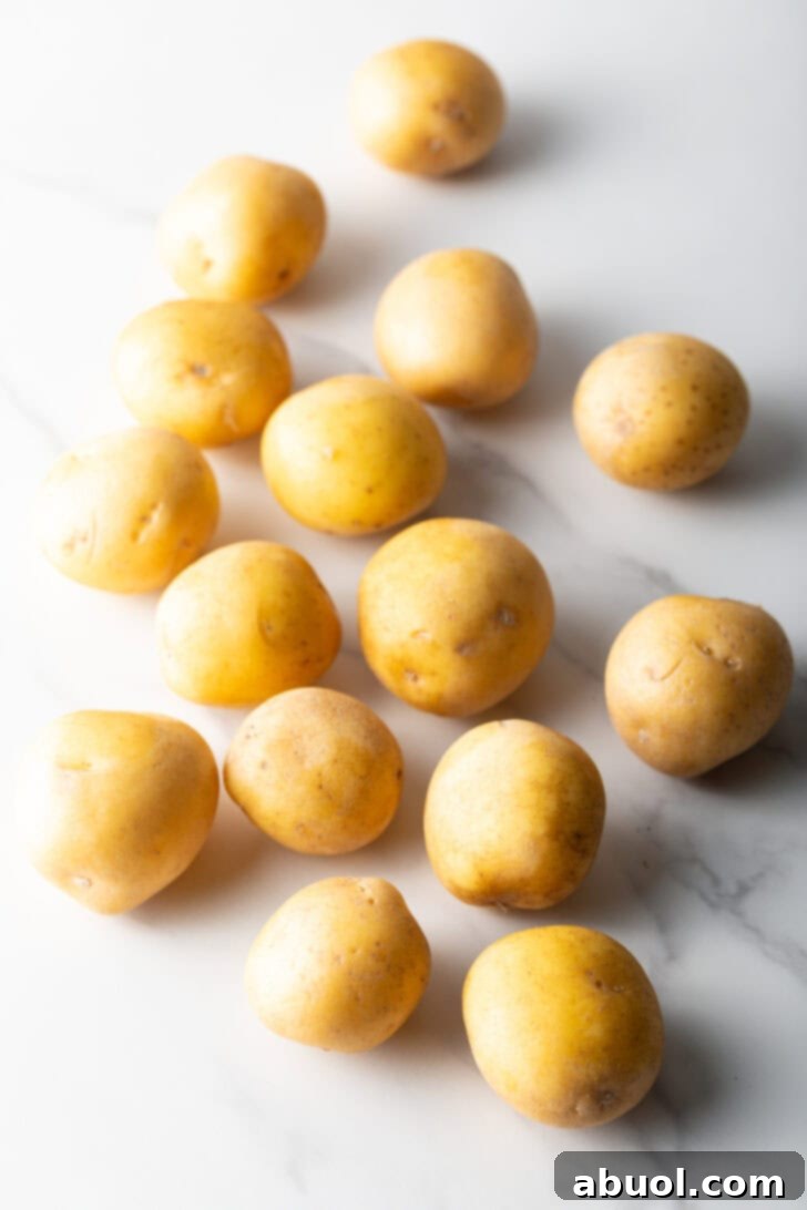 A dozen small, clean yellow raw potatoes neatly arranged, ready for preparation. Their smooth skins and even sizing indicate they are fresh baby potatoes.