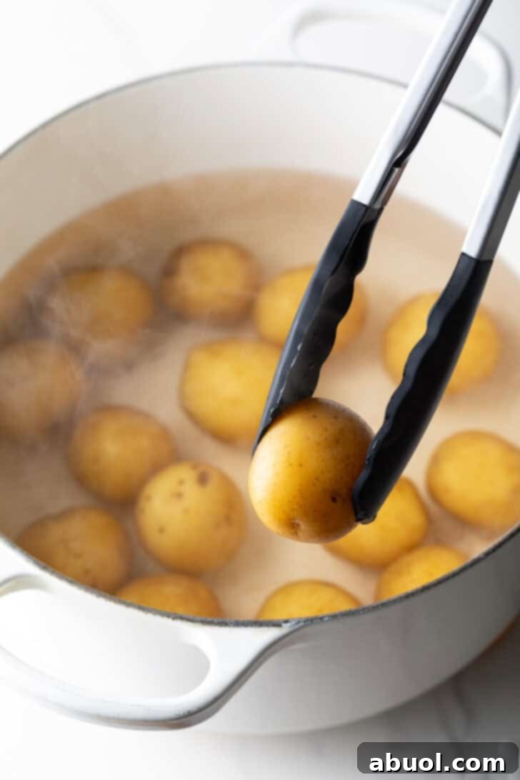 Tongs holding a small boiled potato over a large white pot filled with a dozen small potatoes, illustrating the critical boiling stage where potatoes become fork-tender.