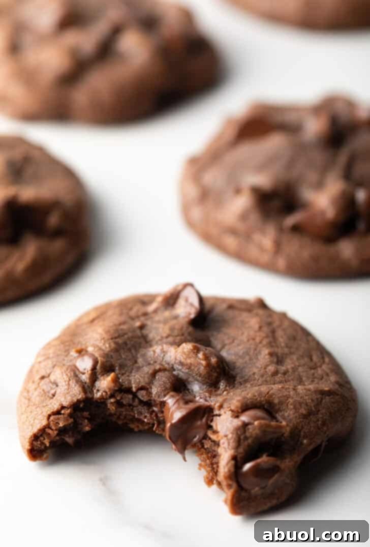 5 baked nutella cookies with chocolate chips on a white background. The closest cookie has a bite taken out of it.