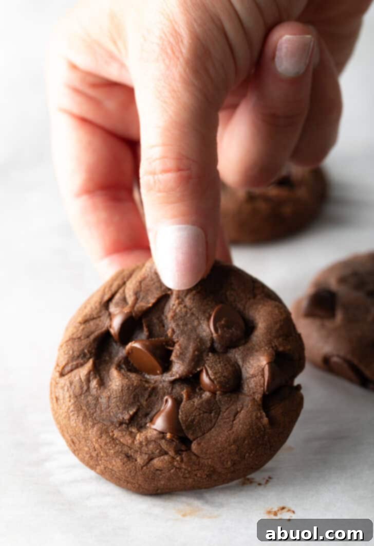 Hand holding a nutella and chocolate chip cookie to camera.
