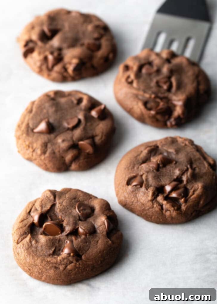 5 baked nutella cookies with chocolate chips on a white background.