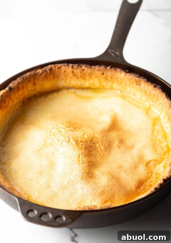 A baked Dutch Baby pancake resting in a cast iron skillet, showing its beautifully golden and slightly deflated center.
