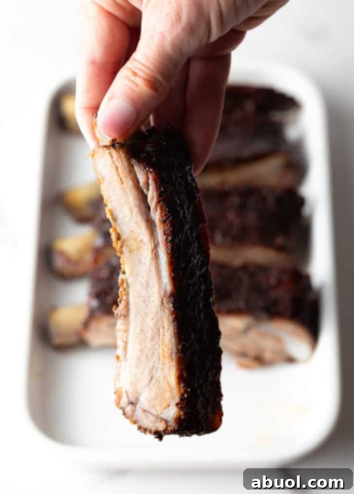Ultimate St Louis Pork Ribs 13 Shot of a single St Louis rib being held up to the camera.