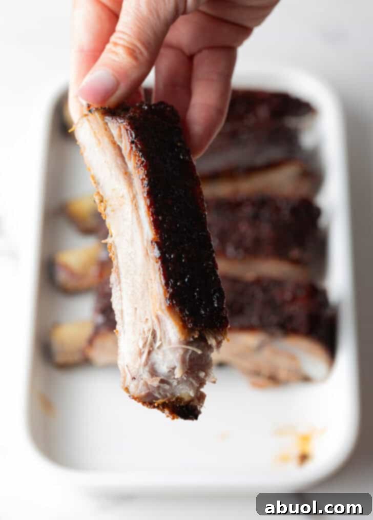Ultimate St Louis Pork Ribs 5 Shot of single St. Louis rib being held up close to camera.