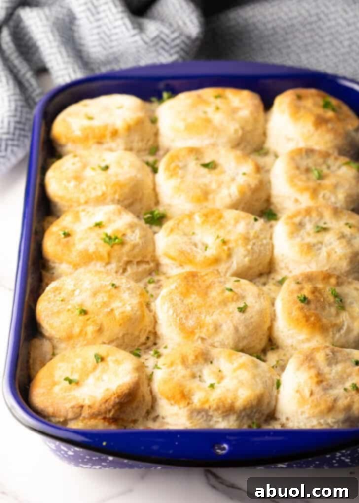 Tray of biscuit breakfast casserole, golden brown and bubbling.