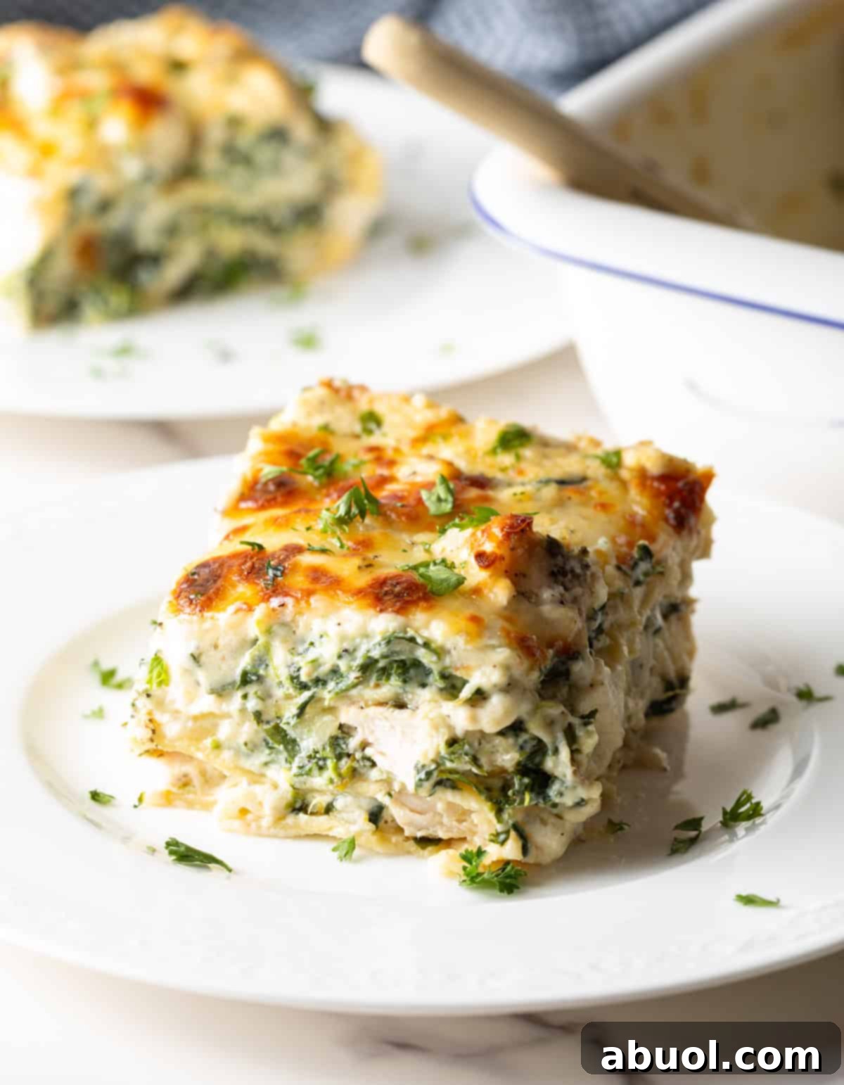A perfectly portioned square of golden-brown Chicken Alfredo Lasagna, rich with melted cheese and tender chicken, resting on a pristine white plate.