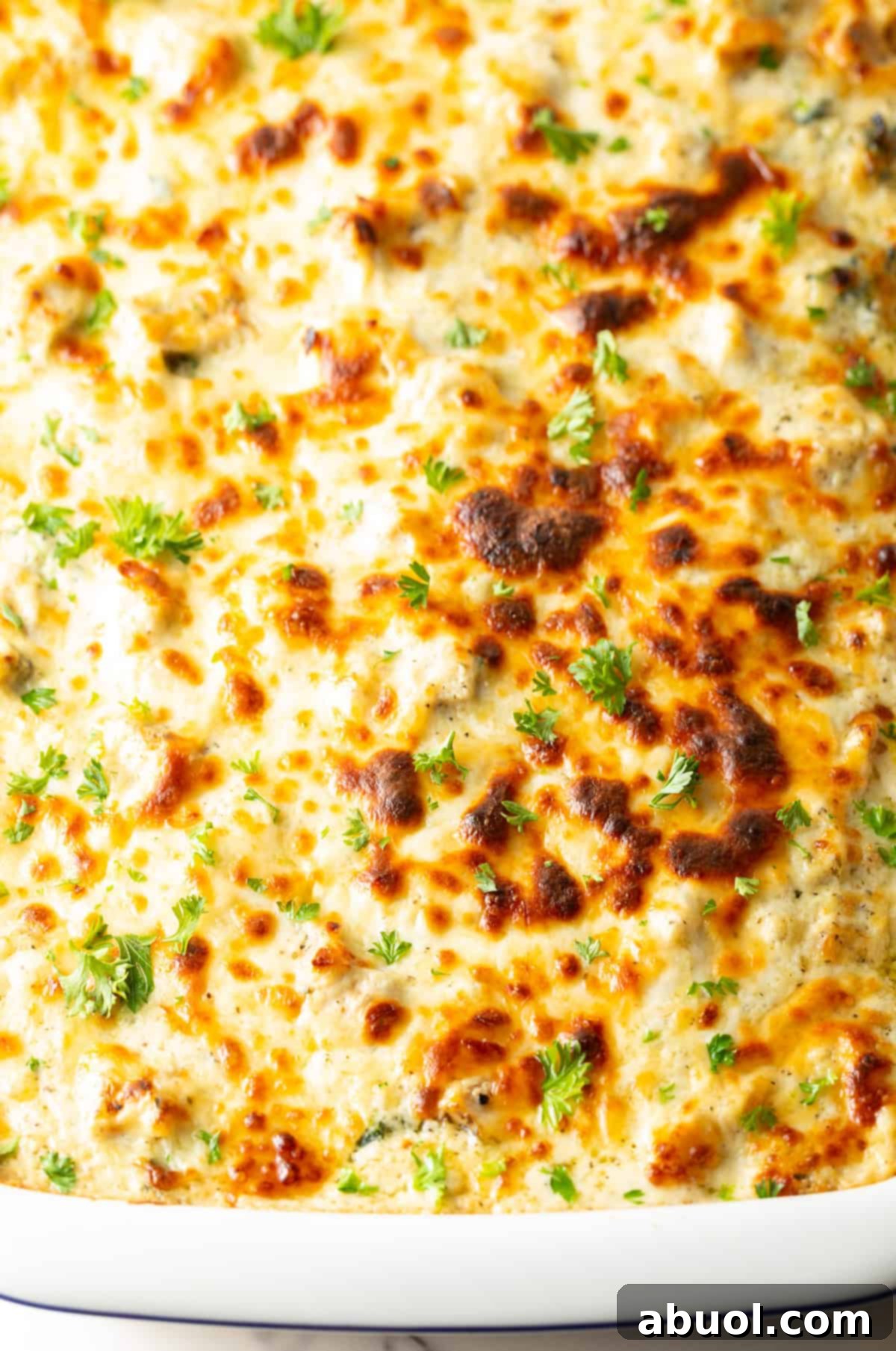 A top-down view of a white rectangular baking pan showcasing a freshly baked, golden-brown Chicken Alfredo Lasagna, bubbling around the edges.