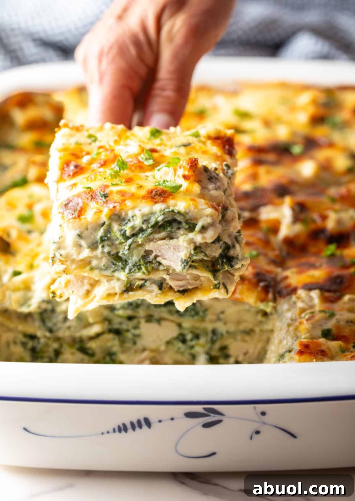 A hand expertly uses a serving spatula to lift a perfectly cut square of cheesy Chicken Alfredo Lasagna from a white baking pan, showcasing its luscious layers.