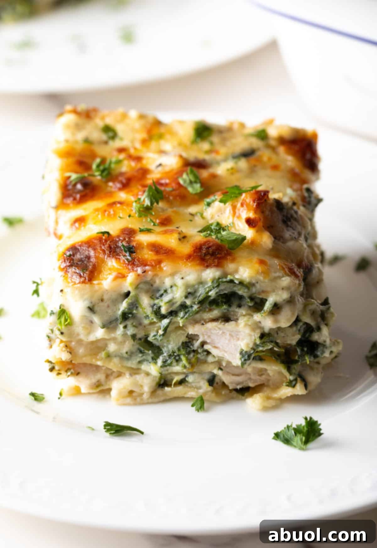 A beautiful square of Chicken Alfredo Lasagna, boasting creamy white sauce and golden cheese, artfully placed on a white plate, ready to be enjoyed.