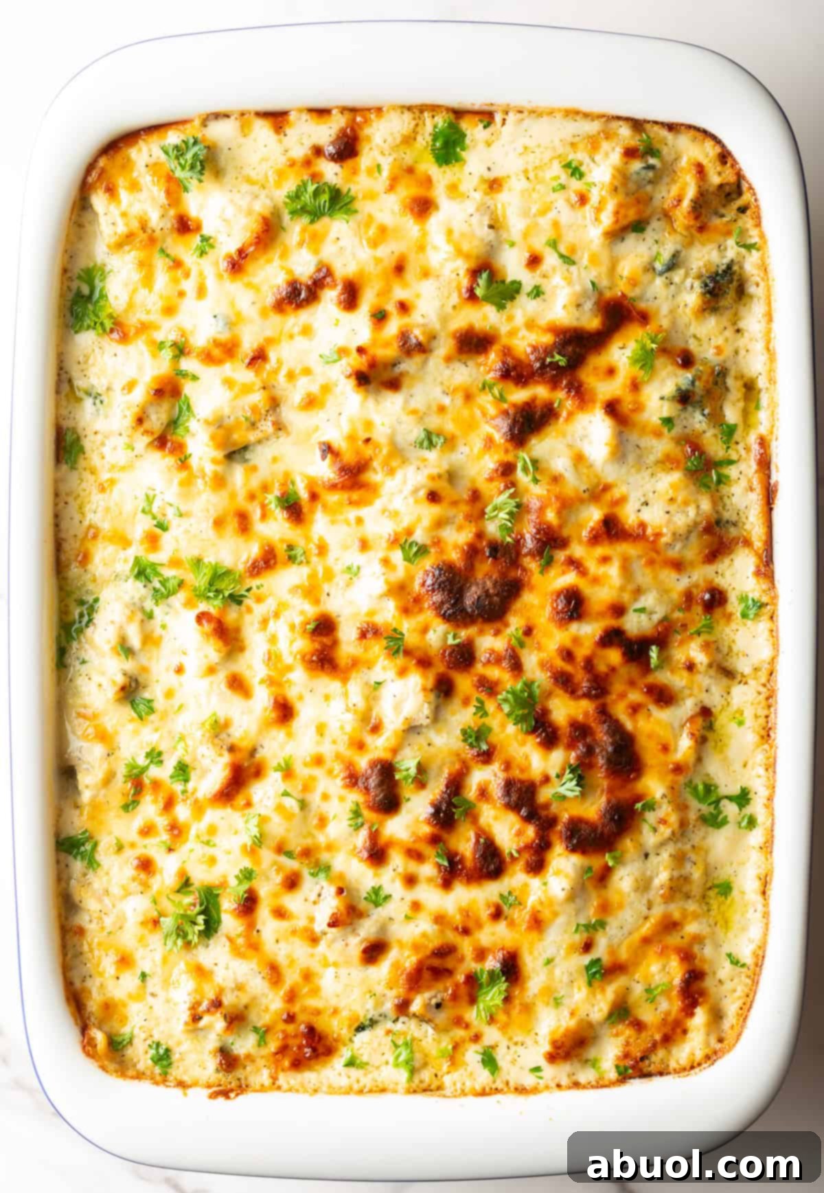 A full white rectangular baking pan filled with golden-brown, bubbly Chicken Alfredo Lasagna, ready to be served.