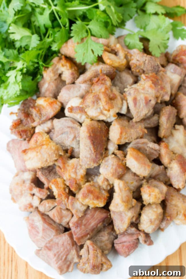 How to Make New Mexico Chile Verde (Green Chili)