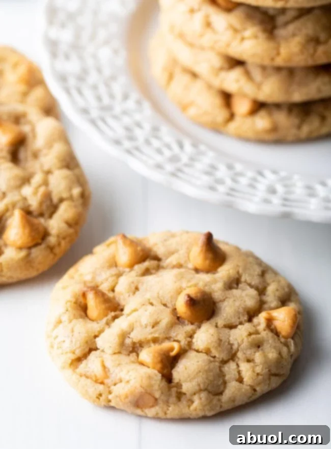 Delicious Chewy Oatmeal Cookies with Butterscotch Chips, ready to be enjoyed