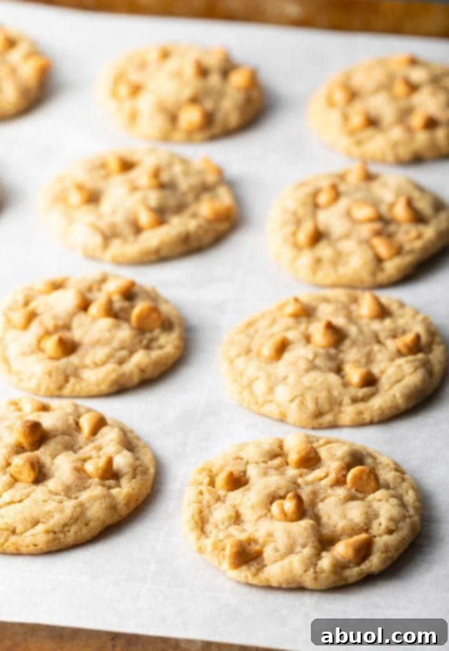 Freshly baked oatmeal butterscotch cookies cooling on parchment paper