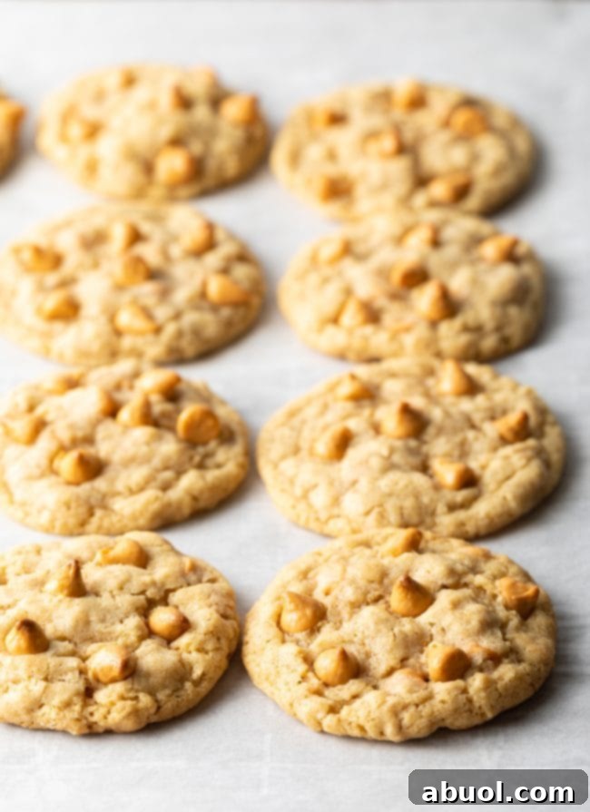 A plate of golden butterscotch oatmeal cookies