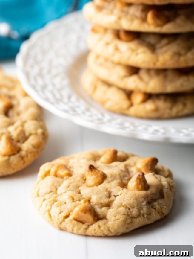 Close-up of a butterscotch cookie with visible cinnamon specks