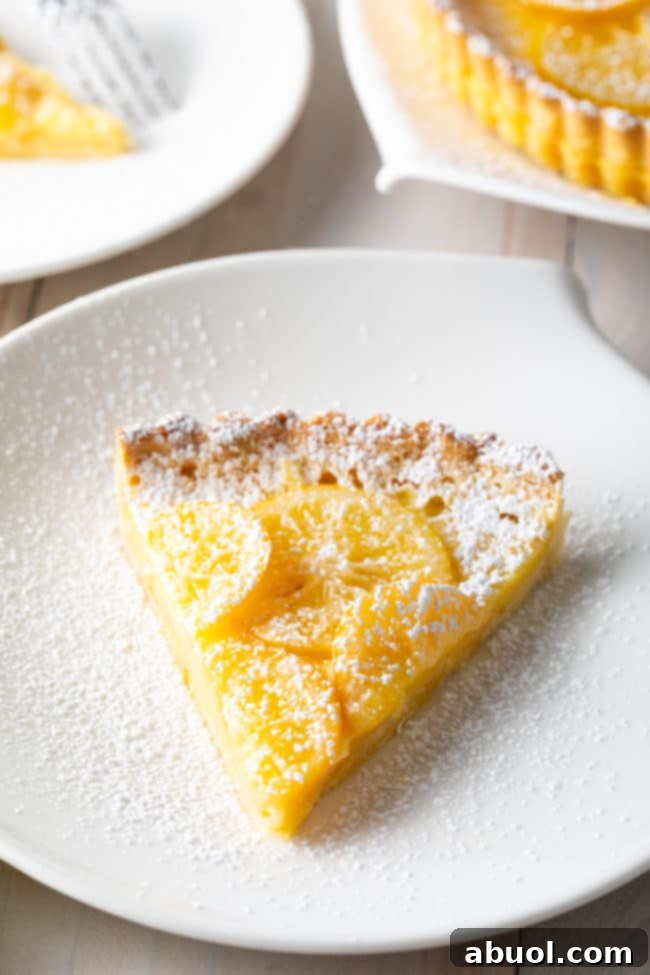 Best Lemon Tart Recipe - sliced in triangles on plate with powdered sugar sprinkled on top.