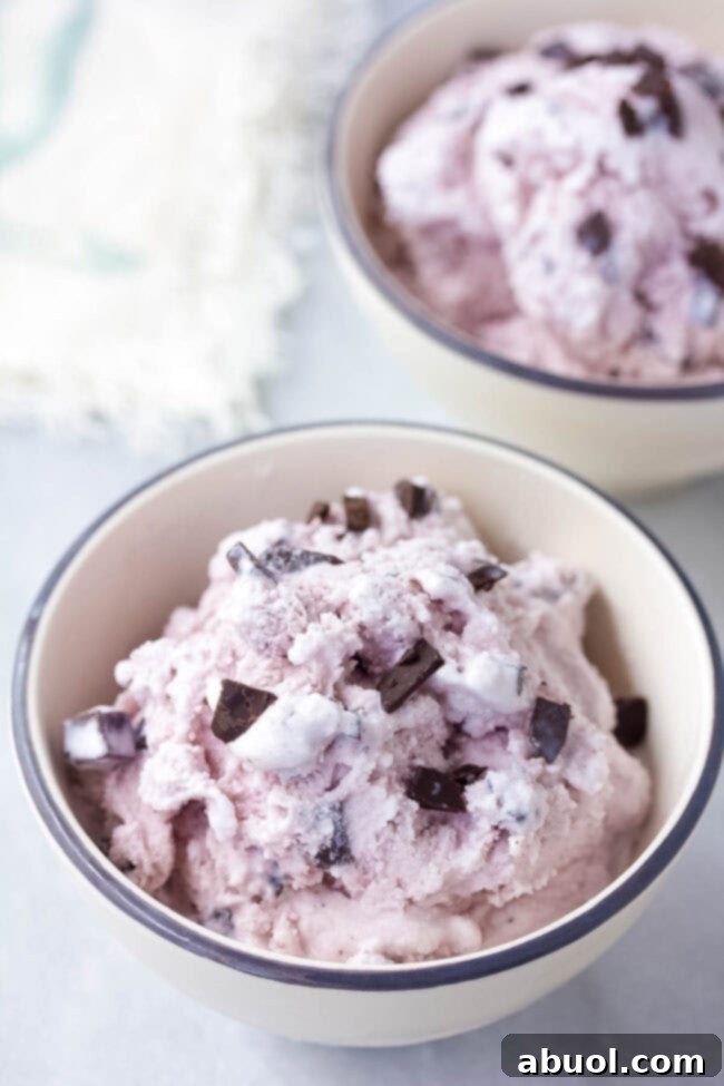 Homemade Lavender Dark Chocolate Chip Ice Cream