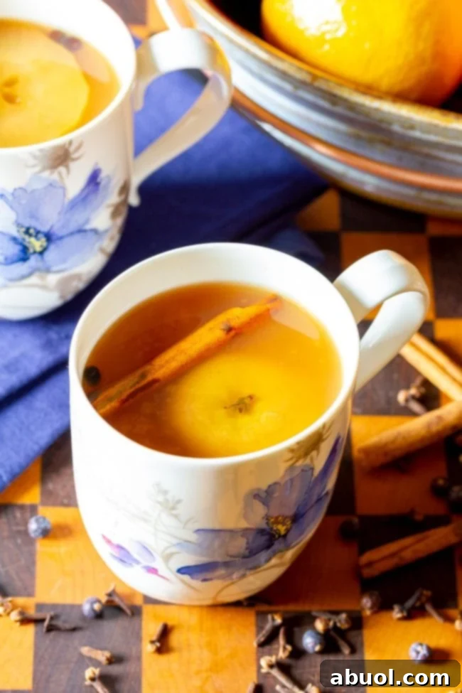 A steaming mug of wassail cider, garnished with a cinnamon stick, ready to be enjoyed.