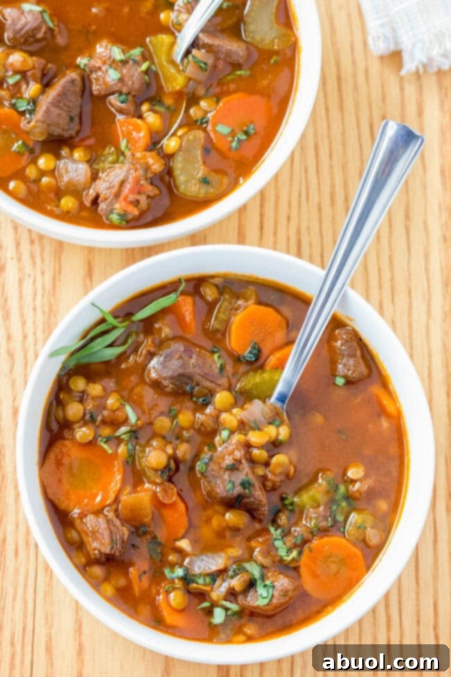 Best Beef and Lentil Stew Recipe in bowl, overhead view