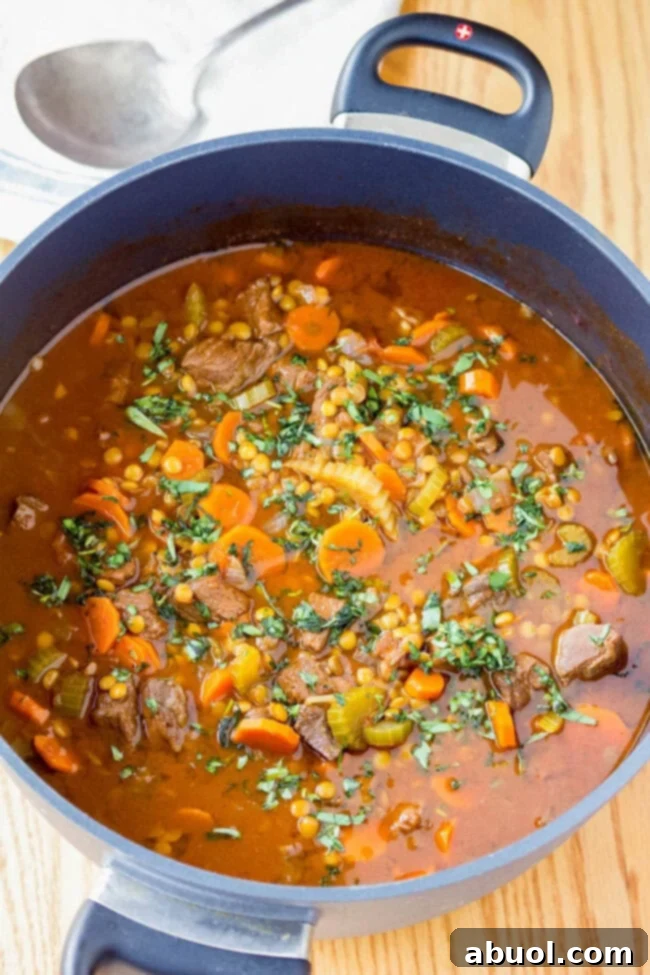 Zesty Lentil Stew Recipe in large pot, simmering gently