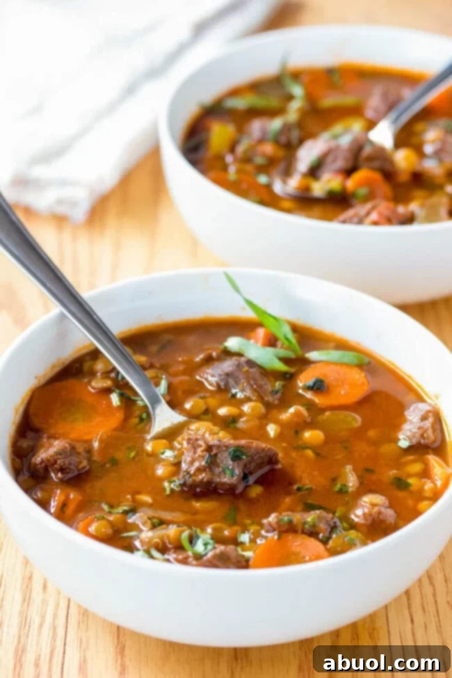 Beef Lentil Stew in a bowl with a spoon, ready to eat