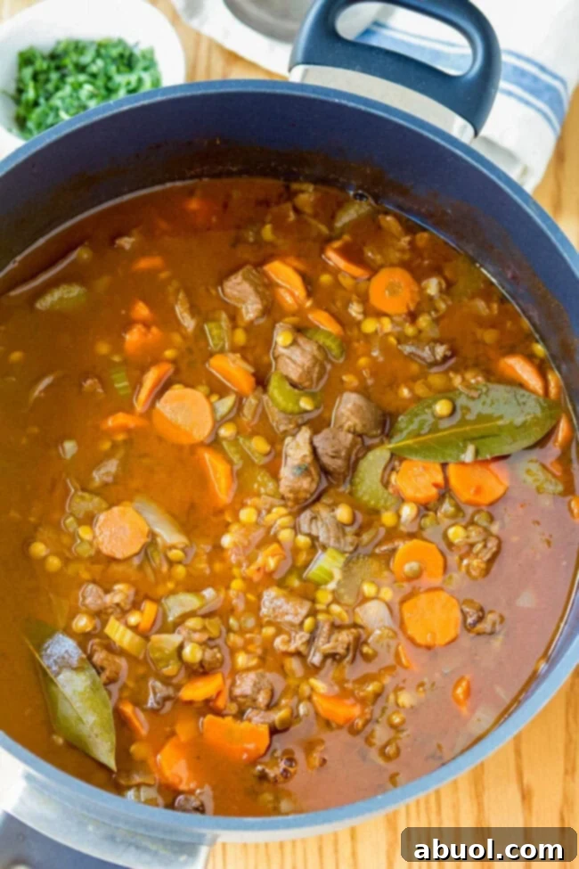 Lentil Stew in pot with beef and bay leaves, ready to be served.