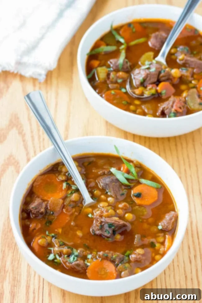 Fabulous Beef Stew Recipe in bowls, garnished.