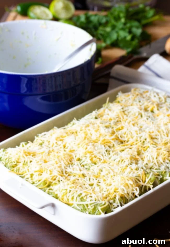 Zesty Salsa Verde Enchiladas 11 Enchiladas neatly arranged in a baking dish, topped with salsa and cheese, ready for the oven.