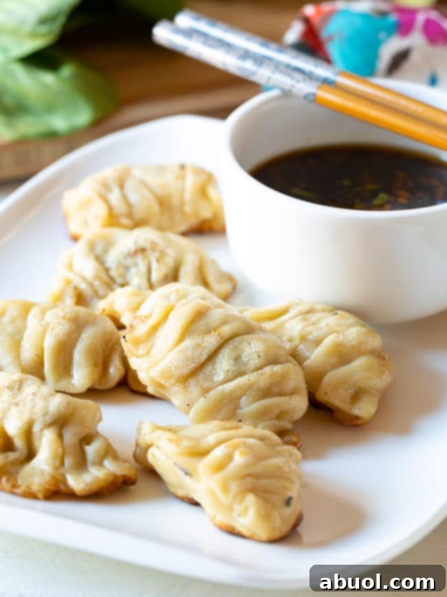 Closeup up dumplings on a plate.