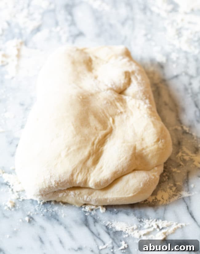 Potsticker dough.