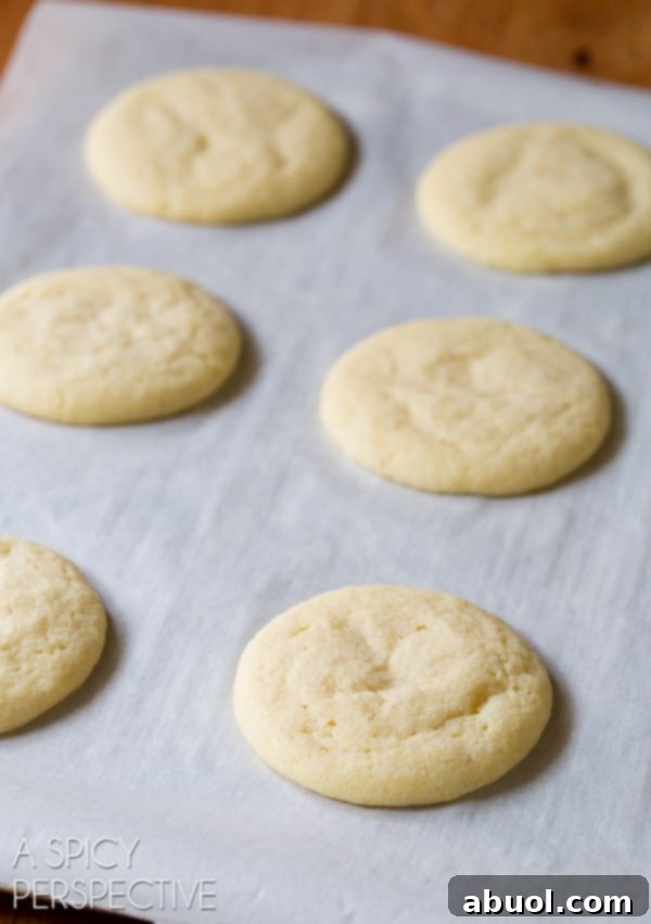 Freshly baked Cornmeal Sugar Cookies cooling on parchment paper on a baking sheet.