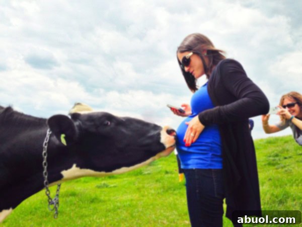 Helen the Cow Shares a Sweet Kiss with Baby Pea