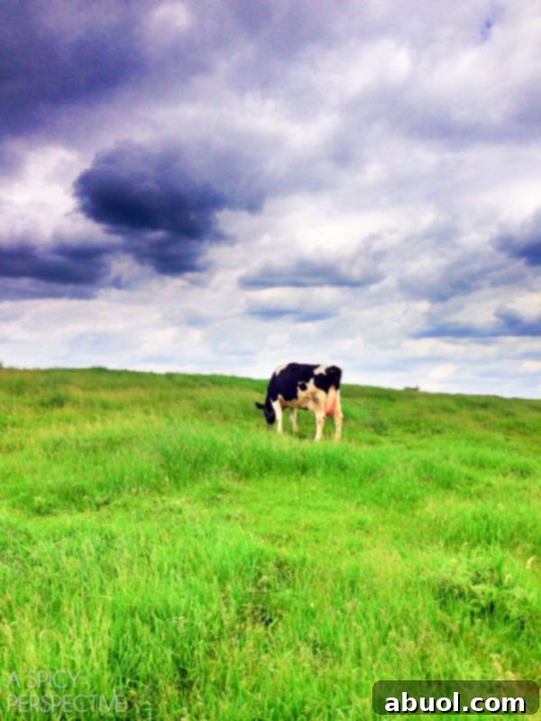 The Gracious Hosts: Sadie and Glen from Blue Diamond Dairy