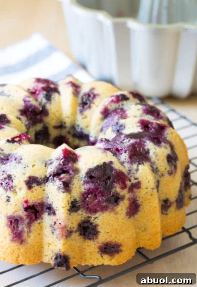 Blueberry muffin cake after being baked, cooling on a cooling rack.