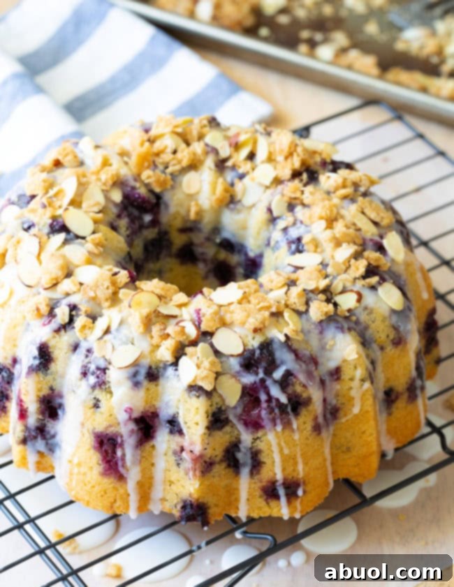 Finished blueberry cake topped with glaze and streusel topping, ready to serve.