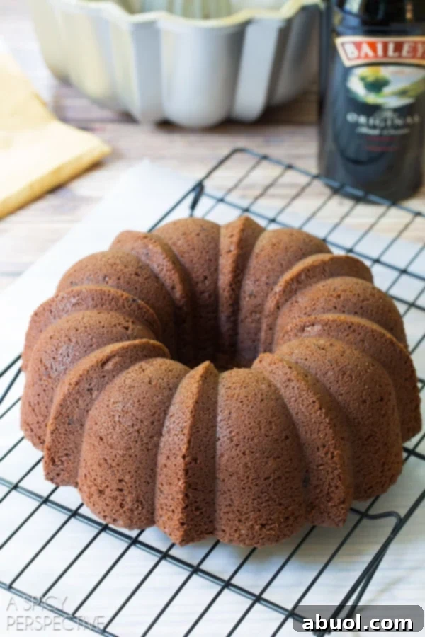 Boozy Baileys Bundt Bliss 6 Freshly baked Baileys Irish Cream Bundt Cake cooling on a wire rack.