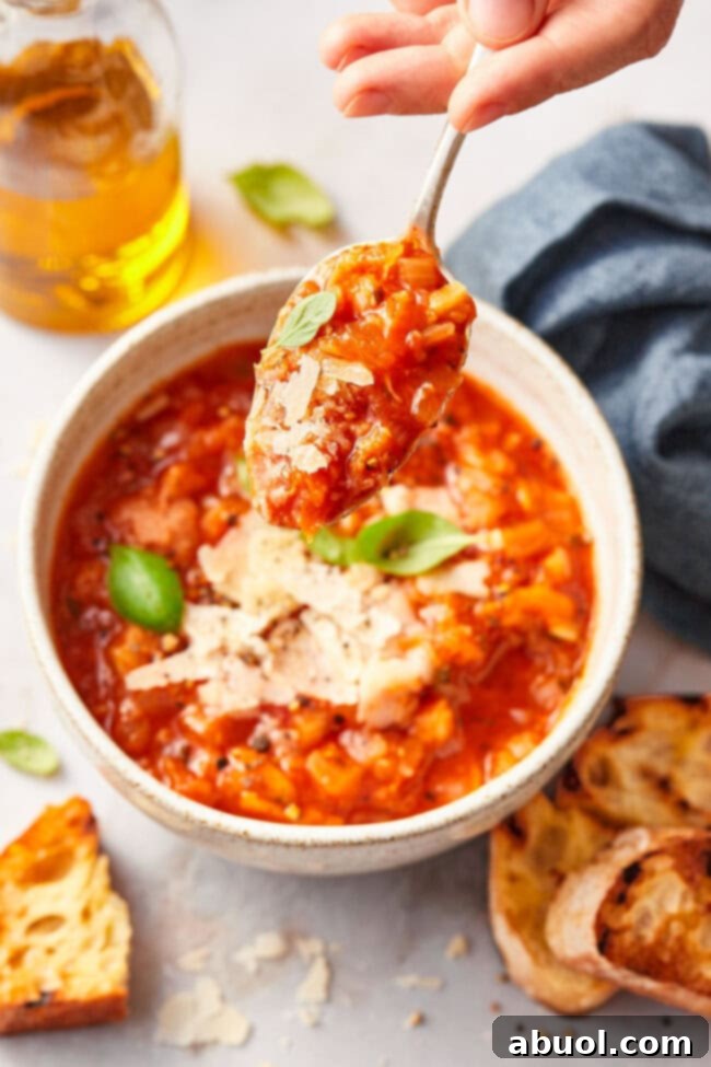 Bowl of chunky Italian tomato soup with a spoon, garnished with fresh basil and Parmesan.