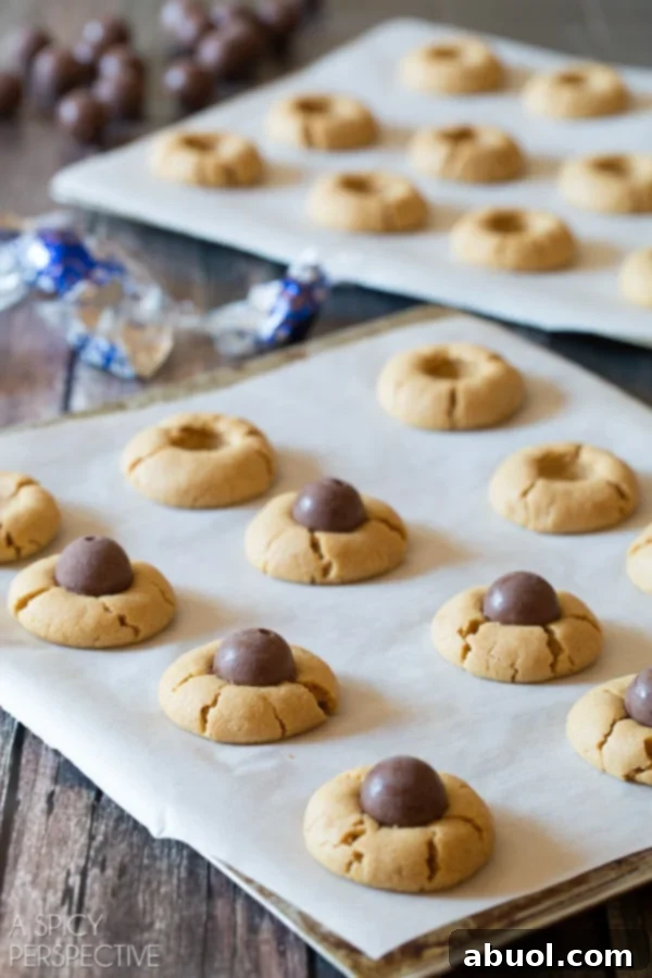 Decorating Chocolate Peanut Butter Cookies into festive spiders