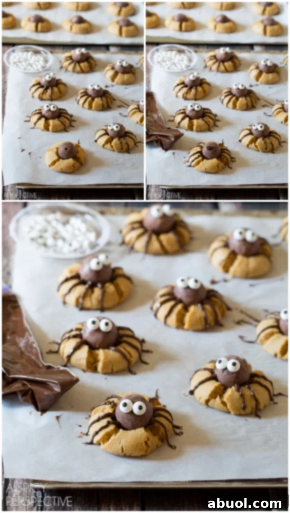 Easy steps to make fun Spider Cookies for Halloween