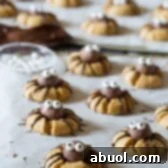 Creepy Chocolate Peanut Butter Cookies - SPIDERS! #halloween #spiders