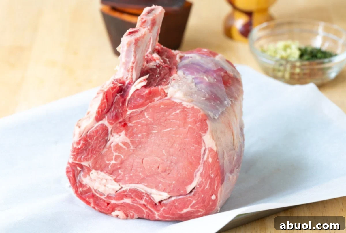 A trimmed standing rib roast, with the rib bones exposed, coated in a rich seasoning rub, ready for the oven.