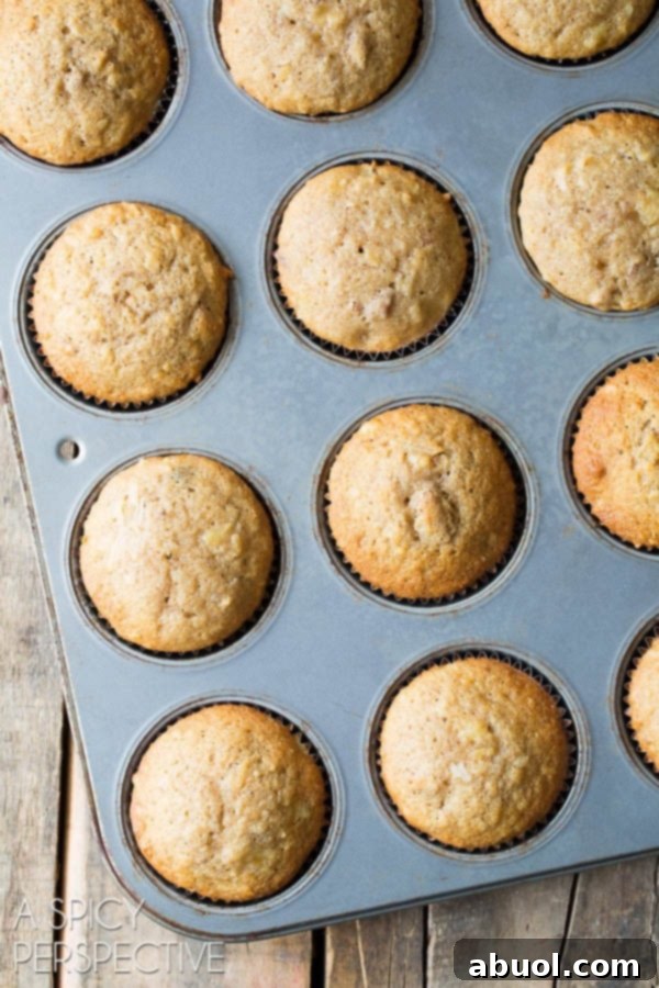 Freshly baked cupcakes cooling in a muffin tin after coming out of the oven.