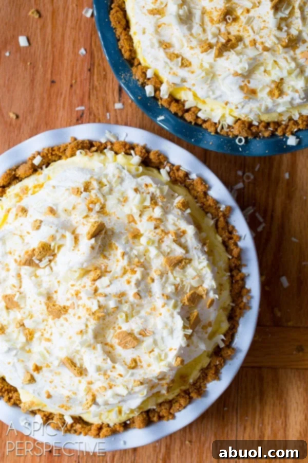 Overhead view of two lemon cream pies, garnished with citrus and mint.