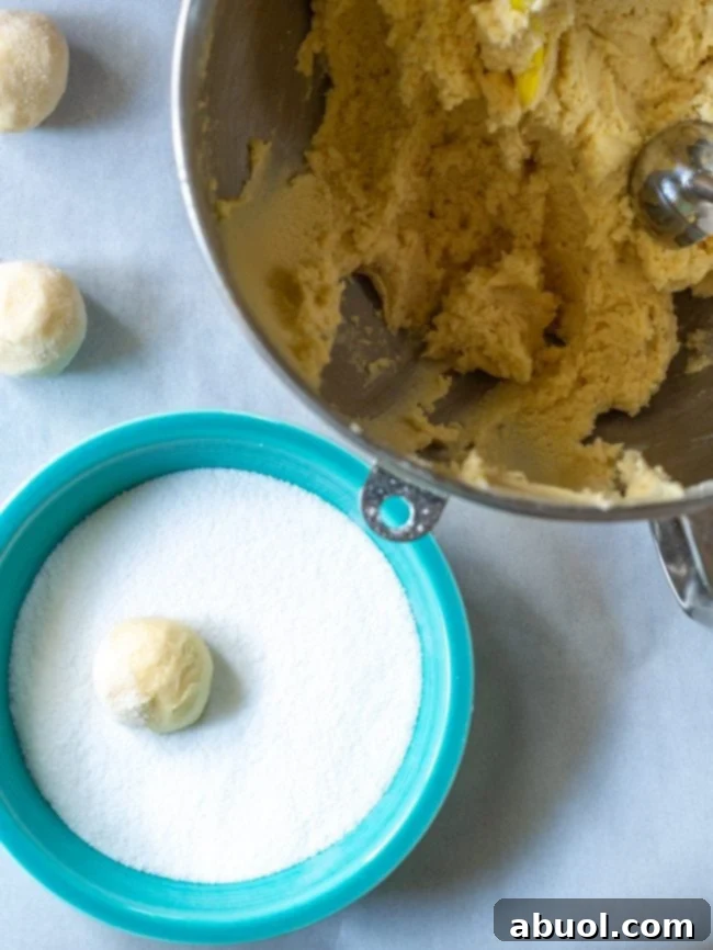 Close-up of sugar cookie dough being rolled into perfect balls.